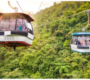 O 1b8bhlggf11c51mc0lg88ctaul7 870x560w 360x320